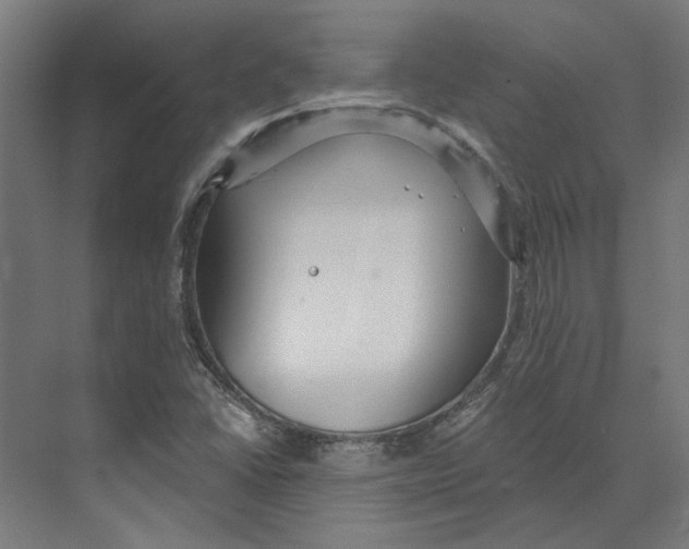 X0000073521406200608281721