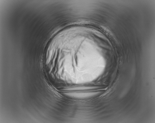 X0000073521409200608281721