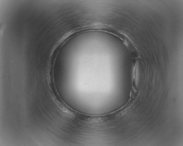 X0000073521410200608281721