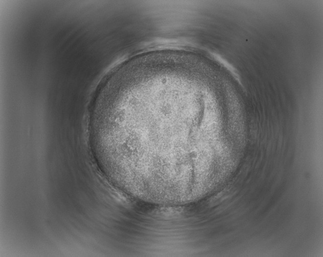 X0000073521411200608281721