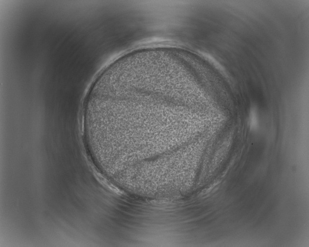 X0000073521413200608281721