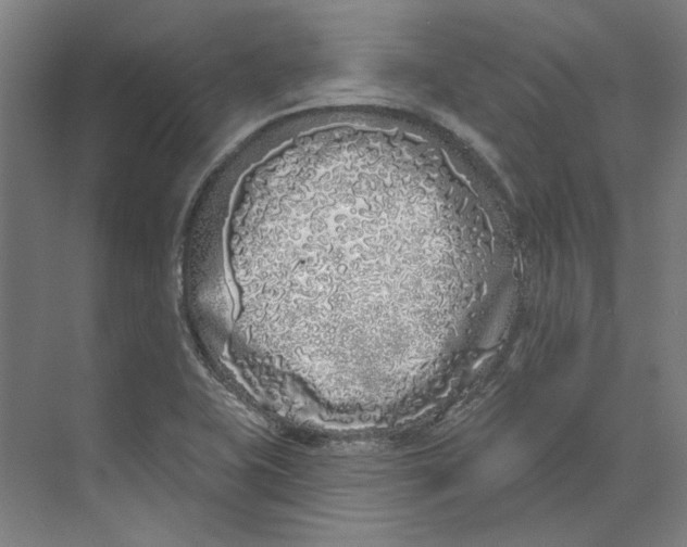 X0000073521415200608281721