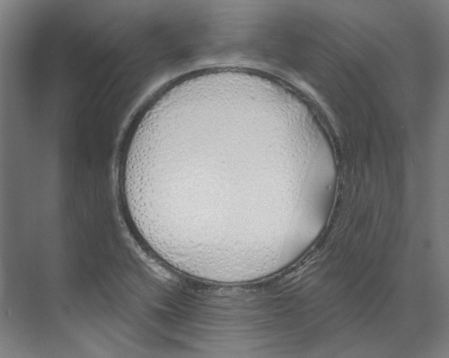 X0000073521416200608281721