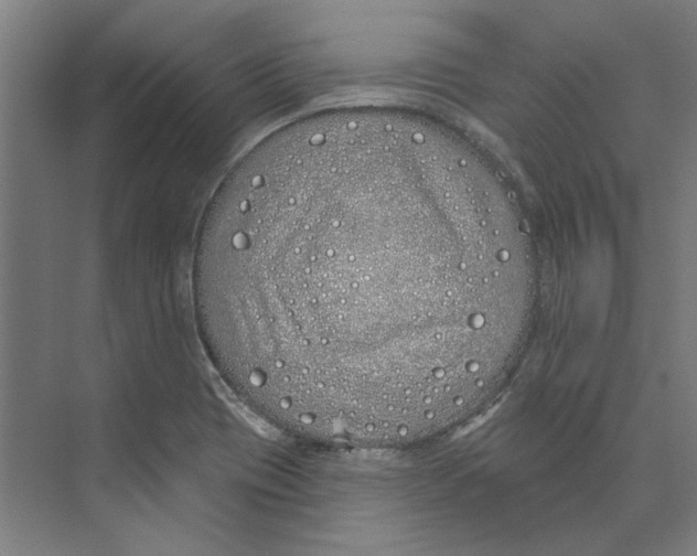 X0000073521417200608281721