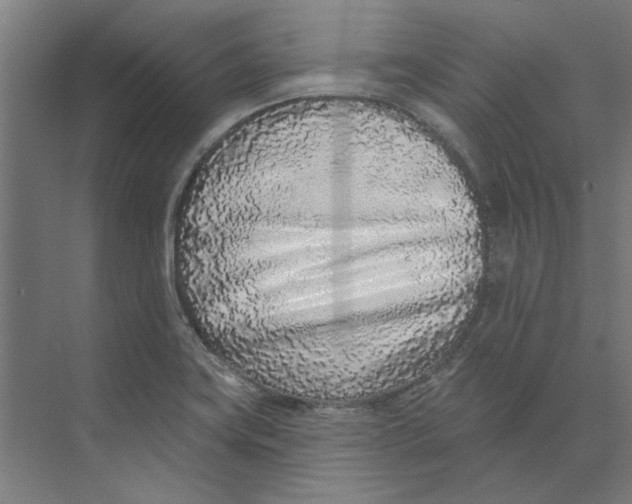 X0000073521419200608281721