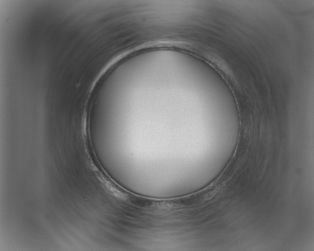 X0000073521420200608281721