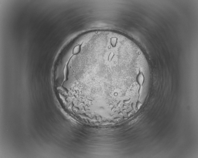 X0000073521421200608281721