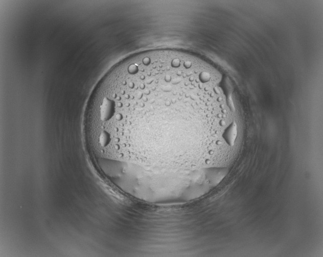 X0000073521423200608281721