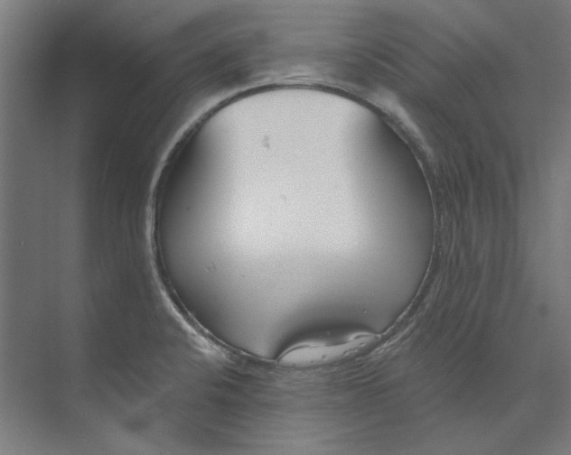 X0000073521424200608281721