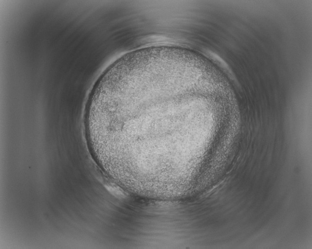 X0000073521427200608281721