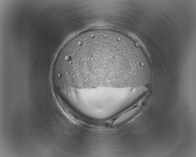 X0000073521429200608281721