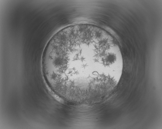 X0000073521431200608281721