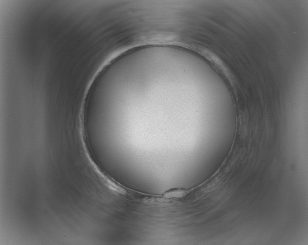 X0000073521432200608281721