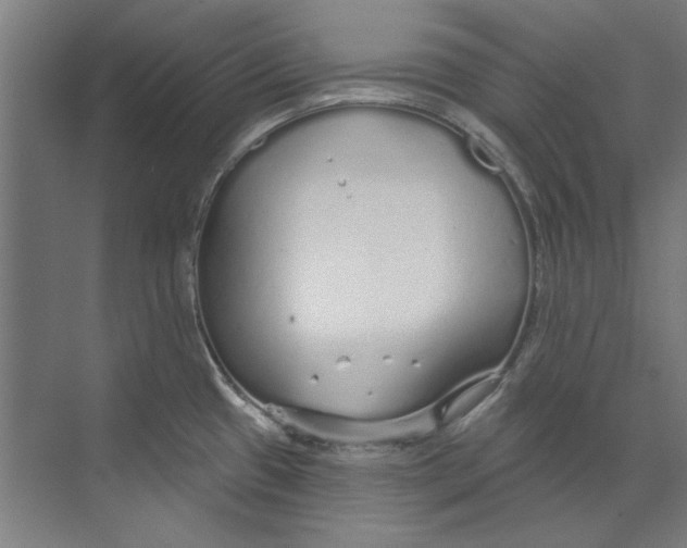 X0000073521433200608281721