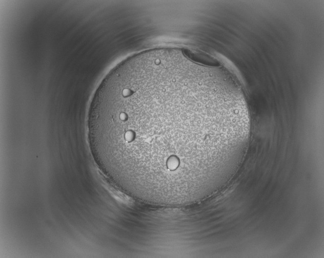 X0000073521435200608281722