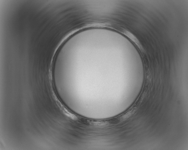 X0000073521436200608281722