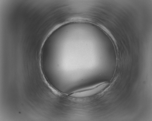 X0000073521437200608281722