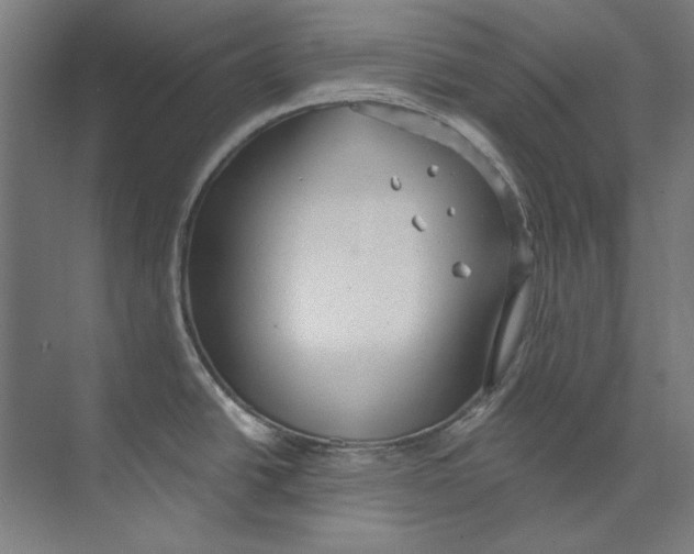 X0000073521438200608281722