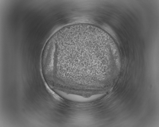 X0000073521439200608281722