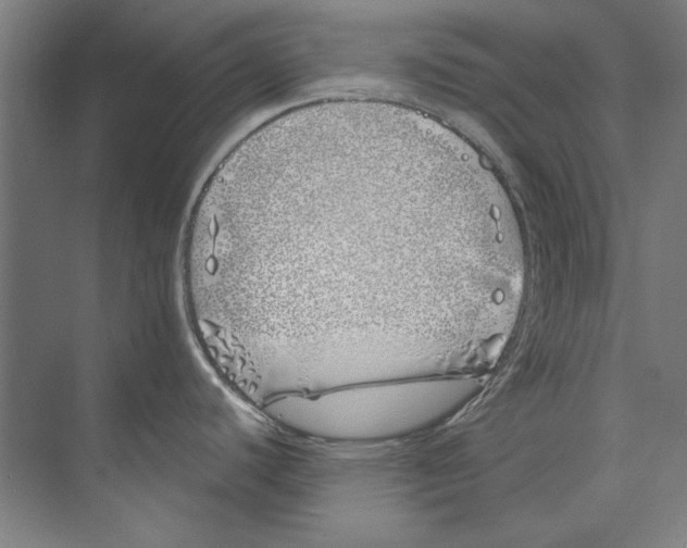 X0000073521440200608281722