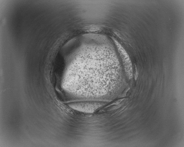 X0000073521441200608281721