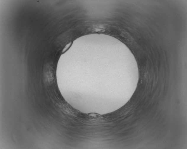 X0000073521442200608281721