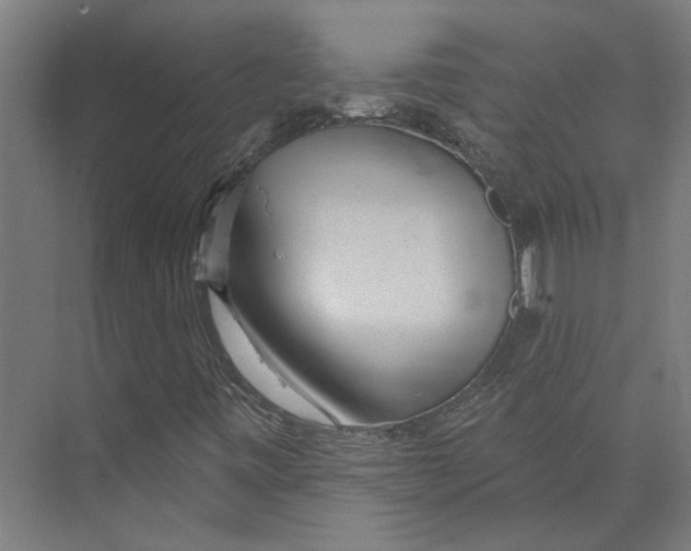 X0000073521443200608281721