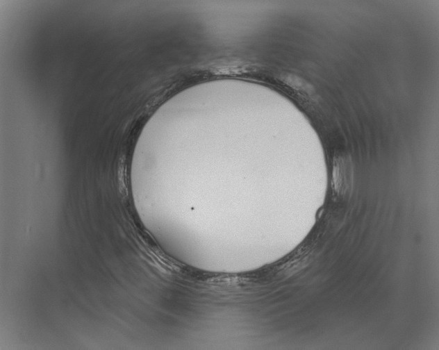 X0000073521444200608281721