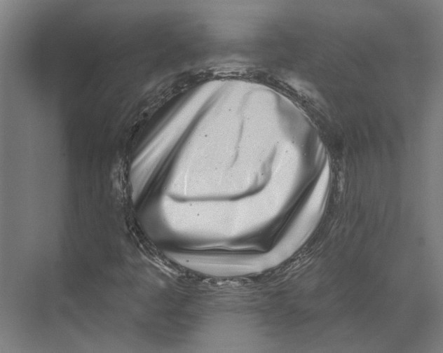 X0000073521445200608281721