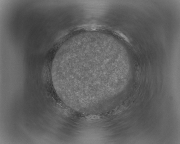 X0000073521446200608281721