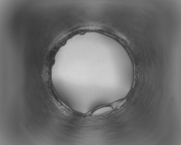 X0000073521448200608281721