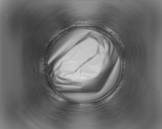 X0000073521449200608281721