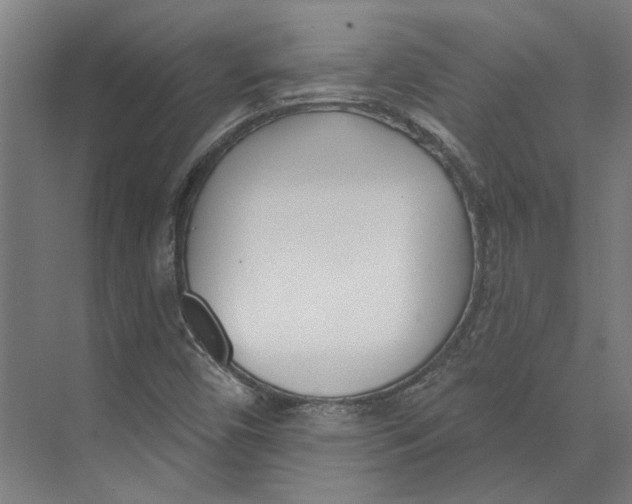 X0000073521450200608281721