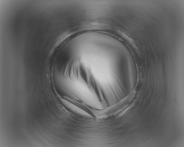 X0000073521453200608281721