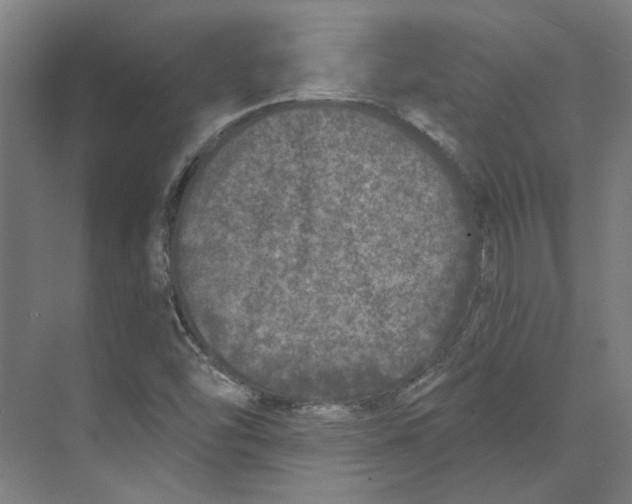 X0000073521454200608281721