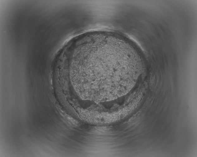 X0000073521455200608281721