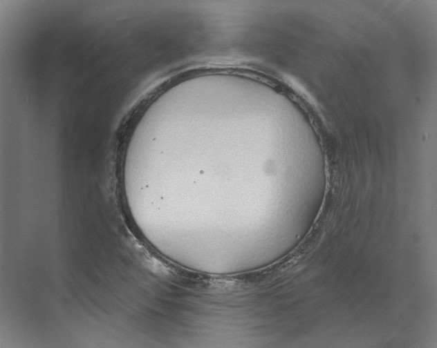 X0000073521456200608281721