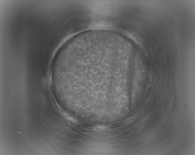 X0000073521462200608281720