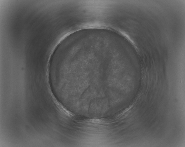 X0000073521463200608281720