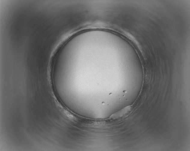 X0000073521464200608281720