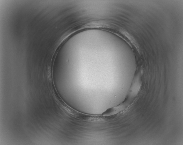 X0000073521465200608281720