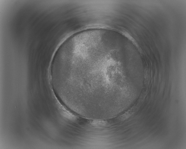 X0000073521466200608281720