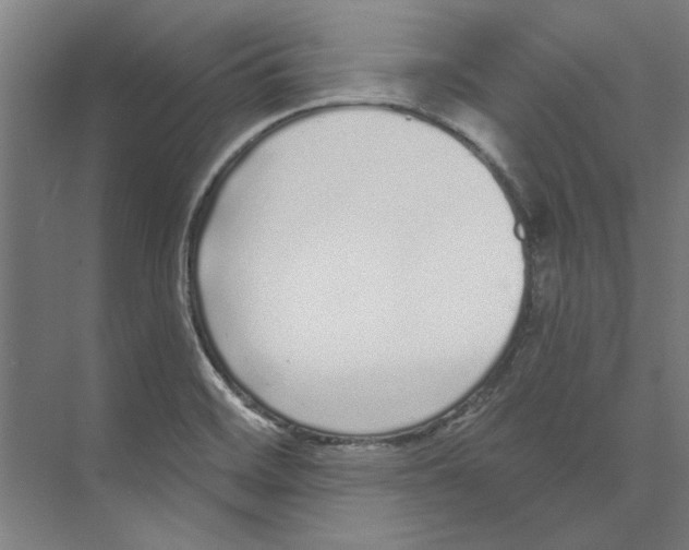 X0000073521468200608281720