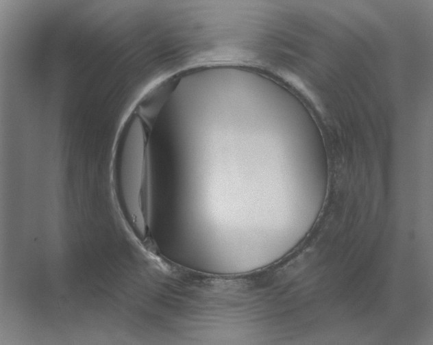 X0000073521469200608281720