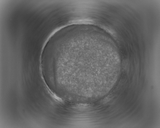 X0000073521470200608281720