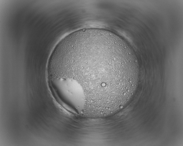 X0000073521471200608281720