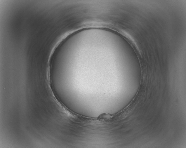 X0000073521472200608281720