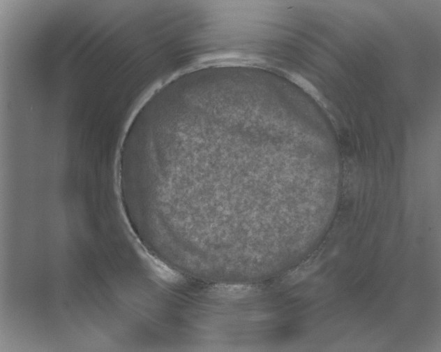 X0000073521474200608281720