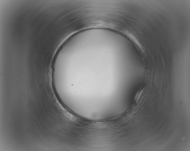 X0000073521476200608281720