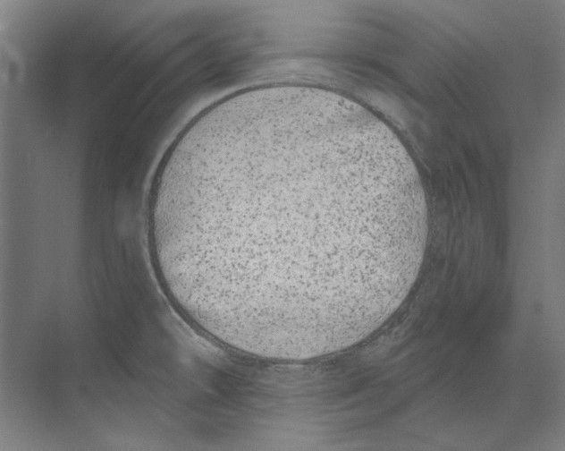 X0000073521478200608281720